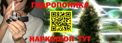 прущие грибы Лесосибирск
